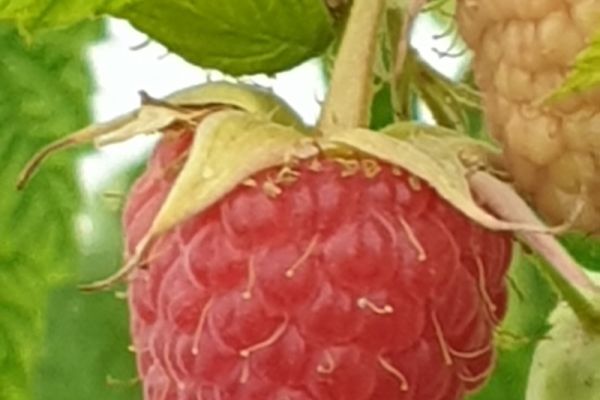 2019-08-30-18-22-3560da798c-2044-0b95-e2a9-fbfe6c6d6ecd68e9f070-3b59-b4d0-41eb-bafe9b0d56c4D94F4628-269A-4621-CAE3-2DA5834F3D12.jpg