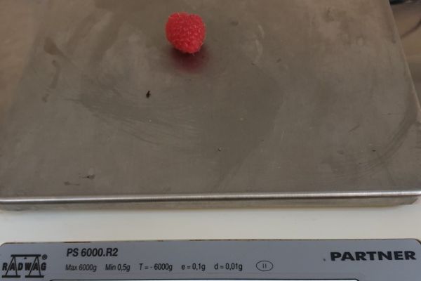 20191003-1149524275380e-d3ce-5ddb-4464-a42fd6d217a06fe9f2cf-3b7f-4d87-4267-e3313b2b0c2820104E68-B0DF-658D-4D0D-5FC91E1AE482.jpg